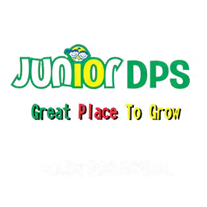 Junior DPS School